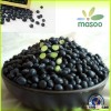 Chinese Black Kidney Beans ,Black Beans,Black Soy Bean,Beans