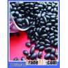 Kidney Beans Product Black Kidney Beans For Sale