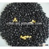 Black beans yellow kernels