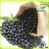 Black Kidney Beans ,Black Beans, all types of kidney beans,Black soybean