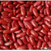Dark Red Kidney Beans 2016 crop size:200-220pcs/100g Best Price / speckled kidney beans