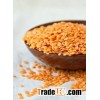 Red Split Lentils and Red Whole Lentils
