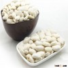Professional Supplier of White Kidney Bean