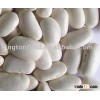 new crop white bean