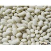 Hot Sale - White Kidney Beans