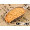 High Quality Lentils/Red Lentils/Green Lentils For Sale