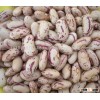 Sugar Beans whole sale 2015