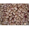 light speckled kidney bean for sale