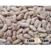 Light speckled Kidney beans