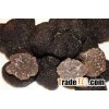 Black Truffle