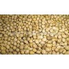 Soya Beans