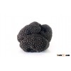 Truffle/Truffe