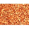 Almond Nuts Best Quality Price for Sale