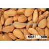 QUALITY ALMOND NUTS FOR SALE
