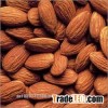 Almonds Almond nut Almonds kernels Grade A hot sales