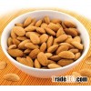 Almond Nut / Almonds Kernel