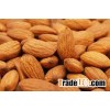 Raw Bitter Almonds Nuts in shell