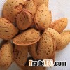 PREMIUM QUALITY Almonds / California ALMOND & Turkish Almond Nuts/ BITTER ALMOND