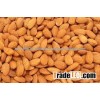 Best Quality Almond Nuts Grade A Almond Nuts