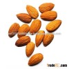 Dried Raw Sweet Almond