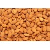 Almond nuts , Cashew nuts , Macadamia nuts , Pistachio nuts