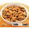 Bulk Wholesale Dried Almond Kernel Almond Nuts Price For Sale