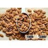 cheap price California almonds for sale