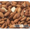 Almond Nuts, Apricot Kernels, Betel Nuts, Brazil Nuts, Canned Nuts, Cashew Nuts, Chestnuts