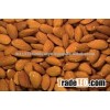 Natural Dried Almond Seeds