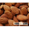 Sweet Almond Nut