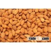Almond Nuts Available For Shipment
