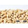 Blanched Almonds Nuts