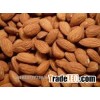 Shelled Almond natural almonds Almonds Almond nut Almonds kernels Grade A hot sales