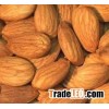 Almond Nuts, Apricot Kernels, Betel Nuts, Brazil Nuts, Canned Nuts, Cashew Nuts, Chestnuts