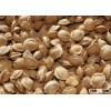 Apricot Kernels