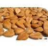 sweet and bitter apricot kernels
