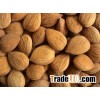 Natural apricot kernel extract powder amygdalin 98%