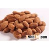 Apricot Kernels