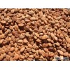 Sweet-Bitter Apricots Kernels/Amygdalin 98%/Graviola Seeds/Peach Kernels