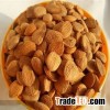 Organic Bitter Apricot Kernels with High Quality From Organic Certified Company!