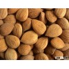 sweet and bitter apricot kernels