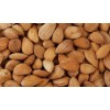 Apricot kernels