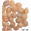Apricot pit
