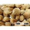 Dried Apricot Natural dried apricot, sugar 65% Dried Apricot Delicious Grade A For sale