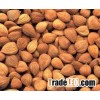 Dried smoked apricot kernels