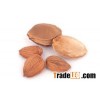 bulk apricot kernels
