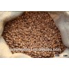 China suppliers health food free samples bitter apricot kernels