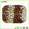 Non-GMO blanched apricot kernels