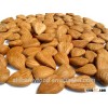 apricot kernel turkey and China