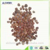 Non-GMO sweet apricot kernels